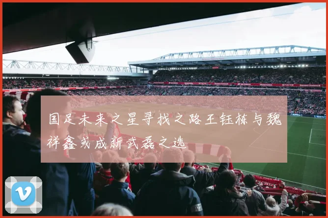 国足未来之星寻找之路王钰栋与魏祥鑫或成新武磊之选