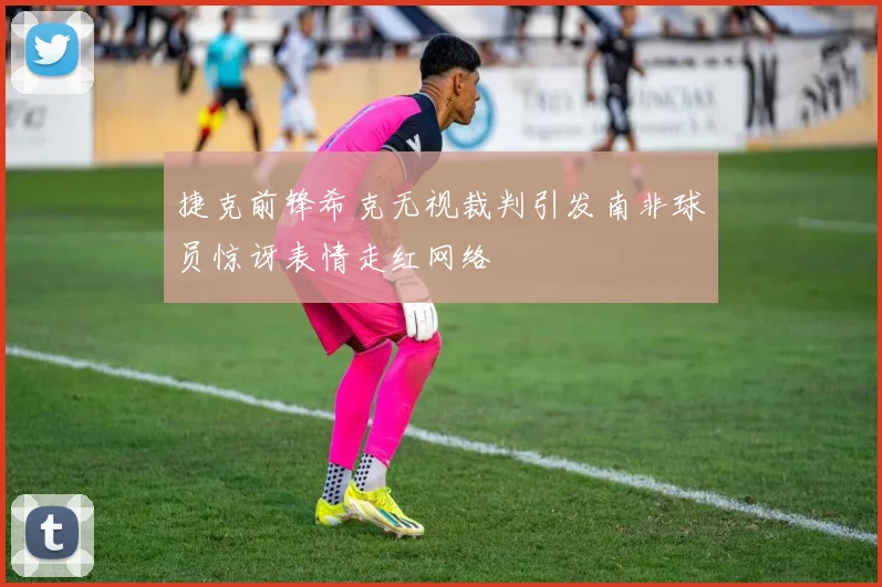 捷克前锋希克无视裁判引发南非球员惊讶表情走红网络